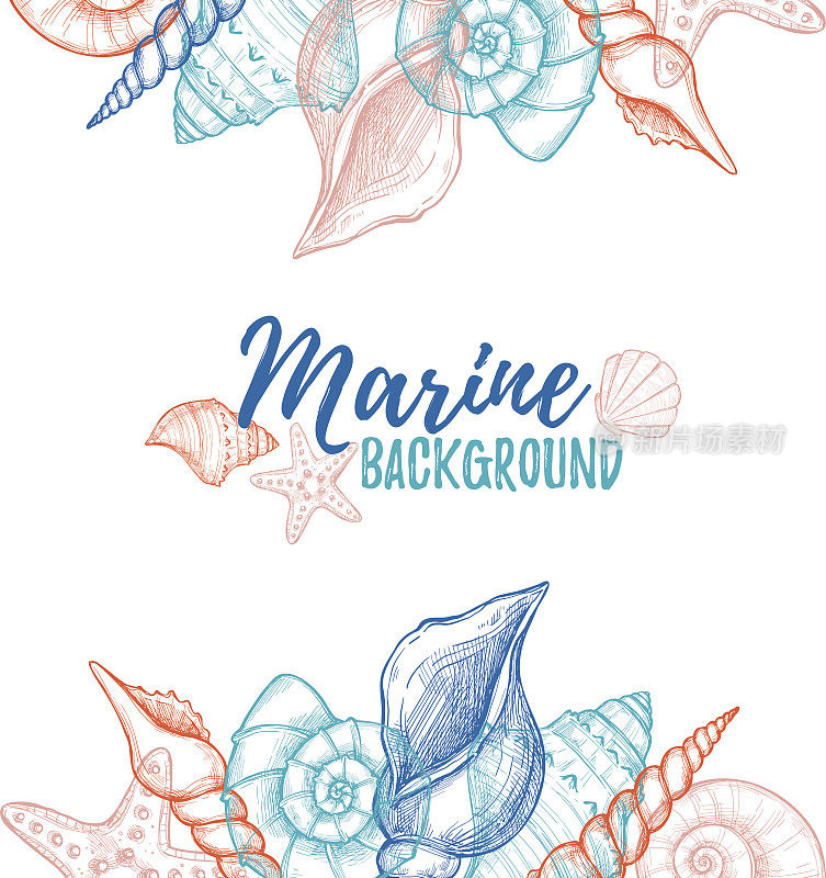 Hand drawn vector colorful illustration - Marine background. Design template with seashells. Perfect for invitations, greeting cards, posters, prints, banners, flyers etc
